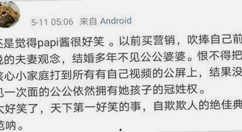 吴柳芳塌房风波背后：昔日冠军的跌宕人生与情感迷局