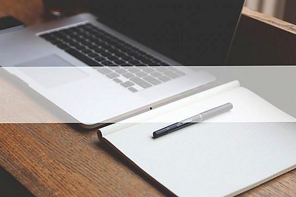 国产内容多元发展背后的真相追踪